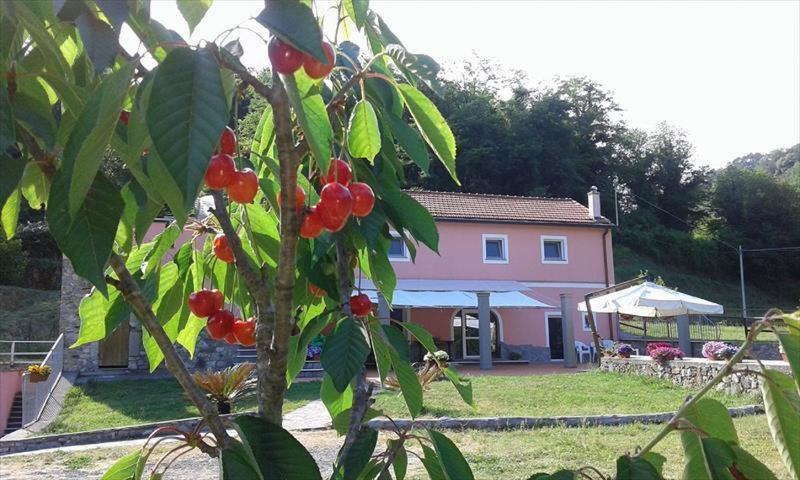 B&B La Casina Rosa La Spezia Valeriano Lunense Dış mekan fotoğraf