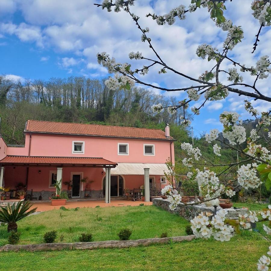 B&B La Casina Rosa La Spezia Valeriano Lunense Dış mekan fotoğraf